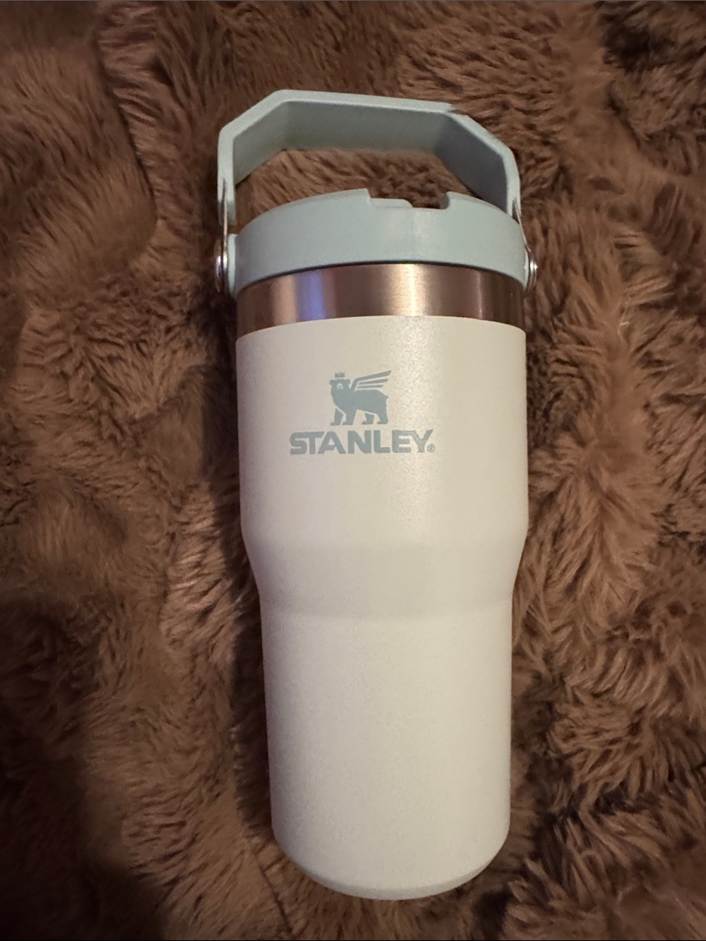 20oz Stanley water bottle
